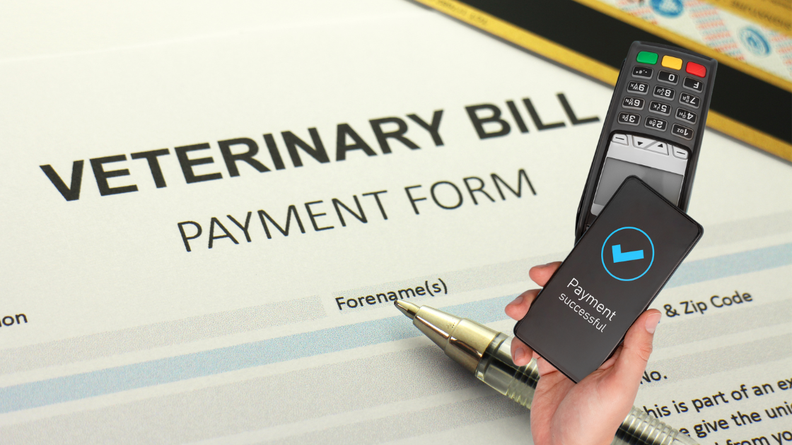 Payment Processing for Veterinary Practices