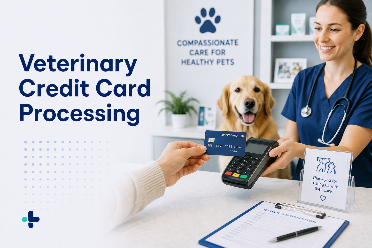 Veterinary Credit Card Processing: How Clinics Get Paid Without Friction